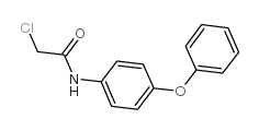 2-氯-N-(4-苯氧基苯基)乙酰胺结构式