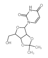 2',3'-异丙基脲结构式