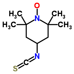 4-异硫氰酰基-2,2,6,6-四甲基哌啶1-氧基自由基结构式