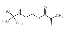 甲基丙烯酸2-(叔丁基氨基)乙酯结构式