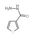 3-三噻吩羧酸肼结构式