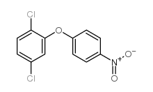 1,4-dichloro-2-(4-nitrophenoxy)benzene结构式