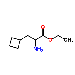 2-氨基-3-环丁基丙酸乙酯结构式