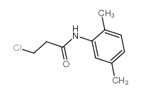 3-chloro-N-(2,5-dimethylphenyl)propanamide结构式