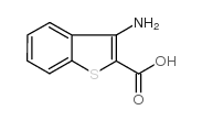 3-氨基-苯噻吩-2-羧酸结构式