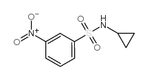 N-环丙基-3-硝基苯磺酰胺结构式