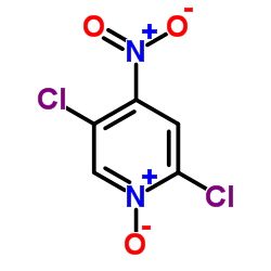 2,5-二氯-4-硝基吡啶-1-氧化物结构式