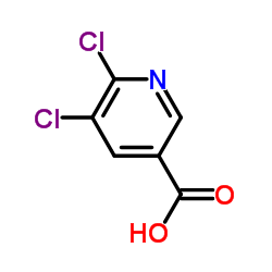 5,6-二氯烟酸结构式