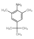 4-叔丁基-2,6-二甲基苯胺结构式