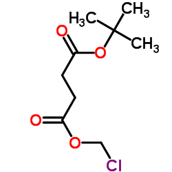 1-氯甲基-4-叔丁基丁二酸酯结构式