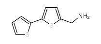 C-[2,2-二硫代苯-5-基甲基]胺结构式