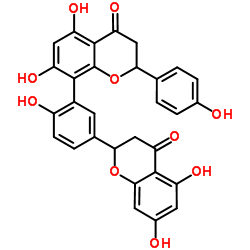 穗花杉双黄酮结构式