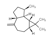 489-39-4结构式