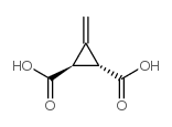 3-亚甲基环丙烷-反-1,2-二羧酸结构式