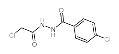 4-氯-n-(2-氯乙酰基)苯碳酰肼结构式