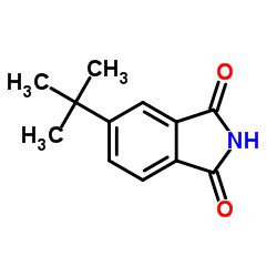 5-tert-butylisoindoline-1,3-dione结构式