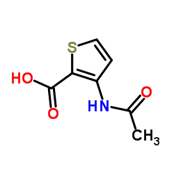 3-(乙酰氨基)噻吩-2-羧酸结构式