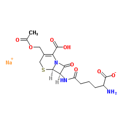 51762-04-0结构式