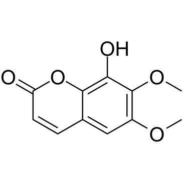 嗪皮啶结构式