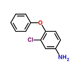 3-氯-4-苯氧基苯胺结构式