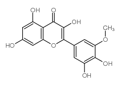 西伯利亚落叶松黄酮结构式