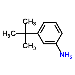 3-叔丁基苯胺结构式