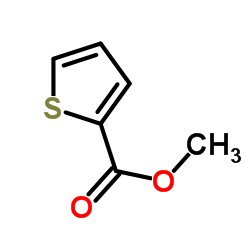 噻吩-2-羧酸甲酯结构式