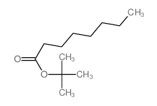 Octanoic acid,1,1-dimethylethyl ester结构式