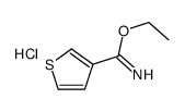 ethyl thiophene-3-carboximidate,hydrochloride结构式