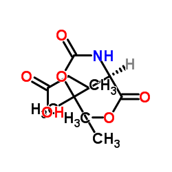 N-叔丁氧羰基-D-谷氨酸 1-甲酯结构式