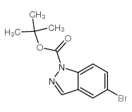 5-溴-1H-吲唑-1-羧酸叔丁酯结构式