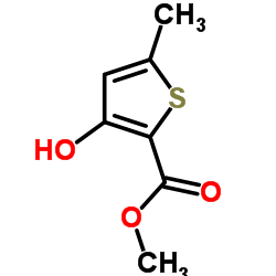 3-羟基-5-甲基-2-噻吩羧酸甲酯结构式