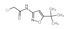 N-(5-tert-butyl-1,2-oxazol-3-yl)-2-chloroacetamide结构式