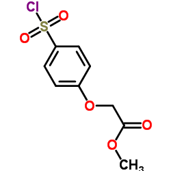 2-[4-(氯磺酰基)苯氧基]乙酸甲酯结构式