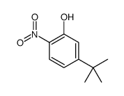 5-tert-butyl-2-nitrophenol结构式