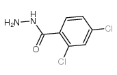 2,4-二氯苯酰肼结构式