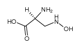 L-2-Amino-3-hydroxylamino-propionsaeure结构式