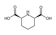CIS-2,6-PIPERIDINE DICARBOXYLIC ACID结构式
