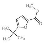 5-叔丁基呋喃-2-羧酸甲酯结构式