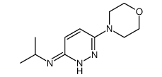 6-morpholin-4-yl-N-propan-2-ylpyridazin-3-amine结构式