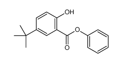 phenyl 5-tert-butyl-2-hydroxybenzoate结构式