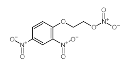 2-(2,4-二硝基苯氧基)硝酸乙酯结构式
