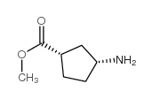 Cyclopentanecarboxylic acid, 3-amino-, methyl ester, (1S,3R)- (9CI)结构式