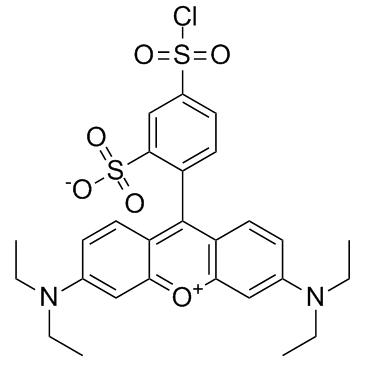 丽丝胺碱性蕊香红B磺酰氯结构式