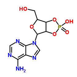 腺苷2',3'-环状磷酸三乙铵盐结构式
