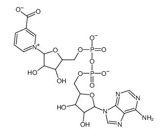 1-[5-[[[[5-(6-Aminopurin-9-yl)-3,4-dihydroxy-oxolan-2-yl]methoxy-hydroxy-phosphoryl]oxy-hydroxy-phosphoryl]oxymethyl]-3,4-dihydroxy-oxolan-2-yl]pyridine-5-carboxylate结构式
