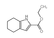 ethyl 4,5,6,7-tetrahydro-1H-indole-2-carboxylate结构式