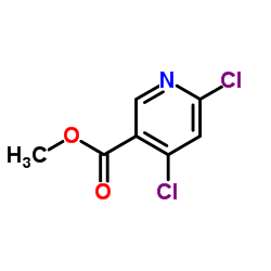 4,6-二氯烟酸甲酯结构式
