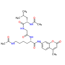 HDAC inhibitor结构式