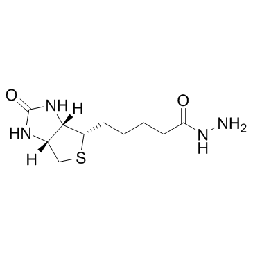 D-生物素酰肼结构式